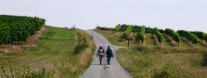 Votre créativité, votre ressourcement, accompagnés sur un chemin @ Chemins de randonnée, Lot (46) | Angers | Pays de la Loire | France