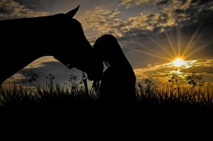 Itinérance avec le cheval