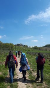 Stage ITISup de rentrée : Supervision en Itinérance @ Sentiers GR - PR et balisages locaux autour de la Loire